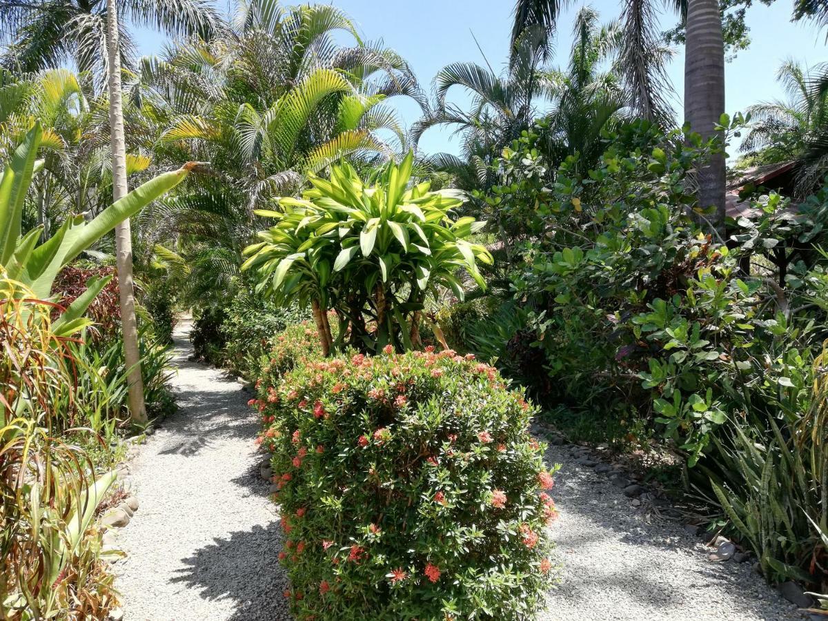Mundo Goub'Art Bed & Breakfast Cabuya  Exterior photo