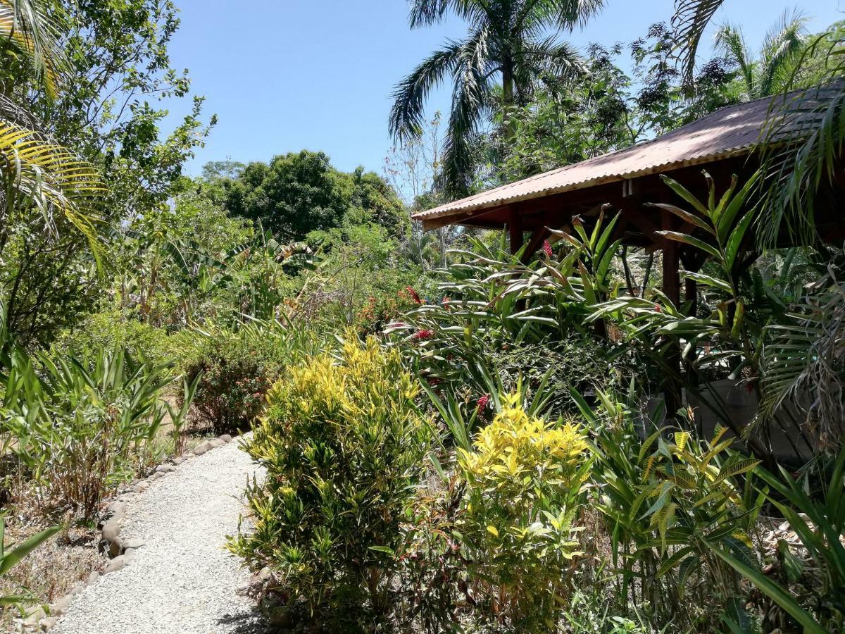Mundo Goub'Art Bed & Breakfast Cabuya  Exterior photo