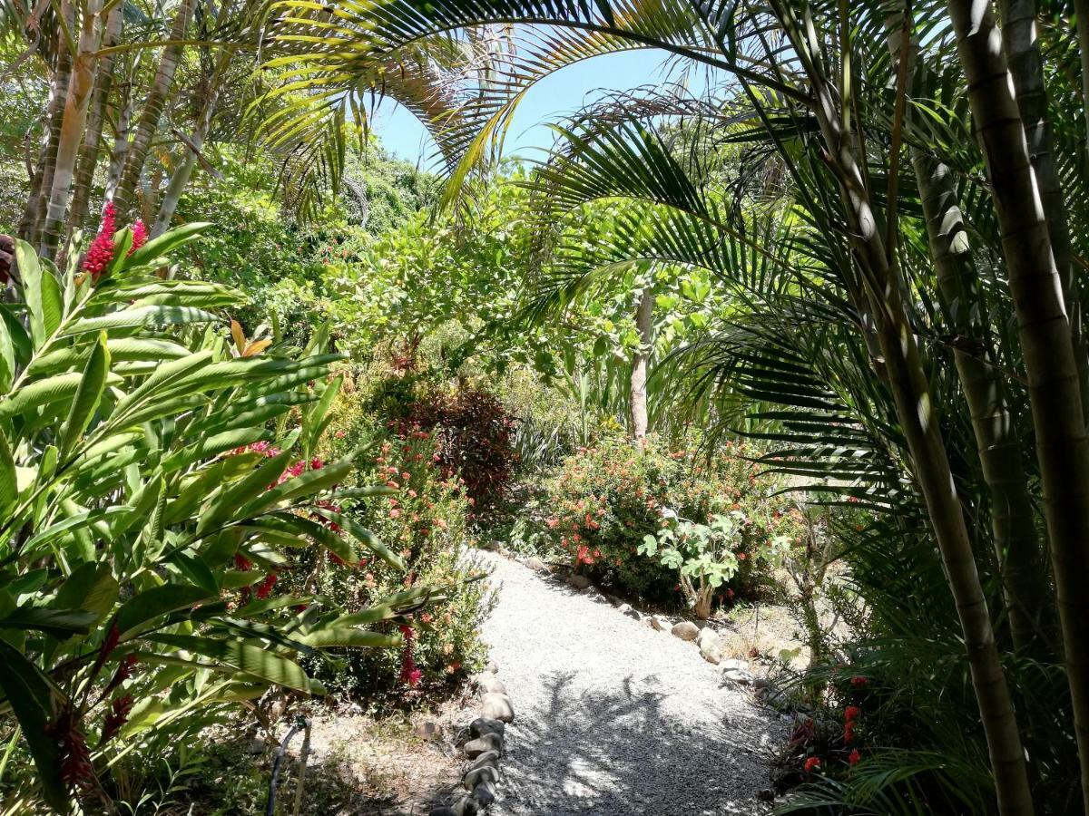 Mundo Goub'Art Bed & Breakfast Cabuya  Exterior photo