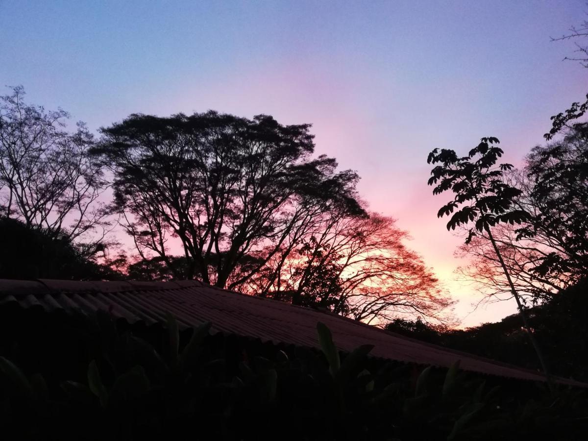 Mundo Goub'Art Bed & Breakfast Cabuya  Exterior photo